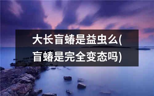 大长盲蝽是益虫么(盲蝽是完全变态吗)