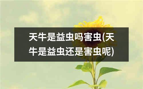 天牛是益虫吗害虫(天牛是益虫还是害虫呢)