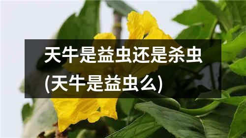 天牛是益虫还是杀虫(天牛是益虫么)