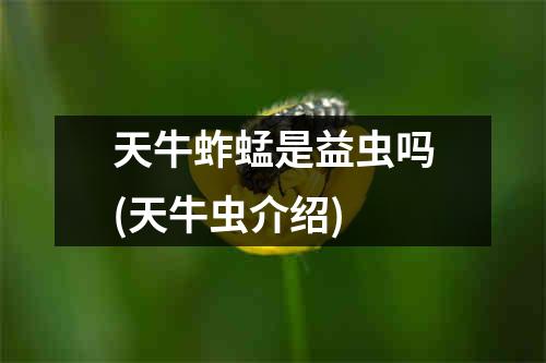 天牛蚱蜢是益虫吗(天牛虫介绍)