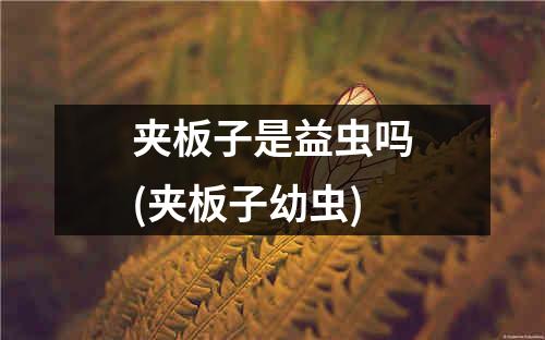 夹板子是益虫吗(夹板子幼虫)