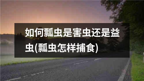 如何瓢虫是害虫还是益虫(瓢虫怎样捕食)