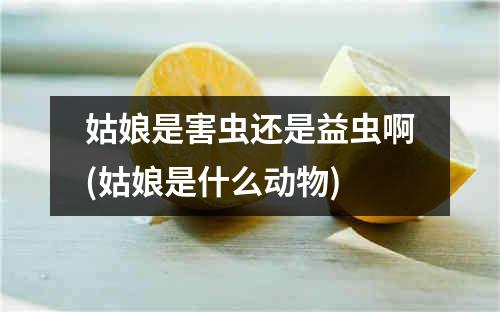 姑娘是害虫还是益虫啊(姑娘是什么动物)