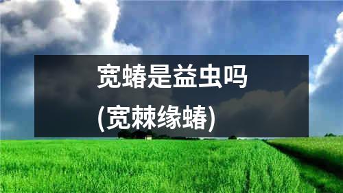 宽蝽是益虫吗(宽棘缘蝽)