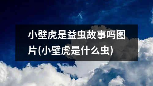 小壁虎是益虫故事吗图片(小壁虎是什么虫)