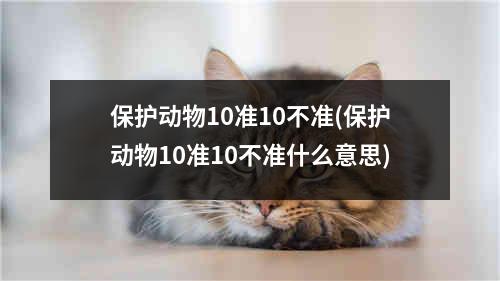 保护动物10准10不准(保护动物10准10不准什么意思)