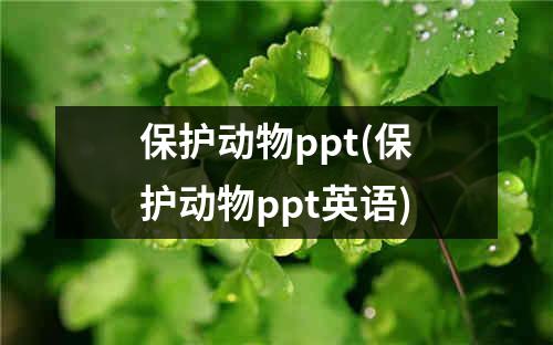 保护动物ppt(保护动物ppt英语)