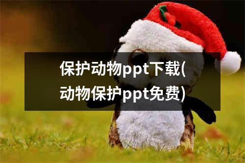 保护动物ppt下载(动物保护ppt免费)