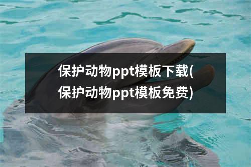 保护动物ppt模板下载(保护动物ppt模板免费)