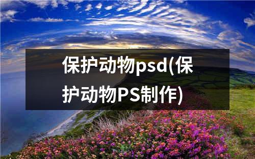 保护动物psd(保护动物PS制作)