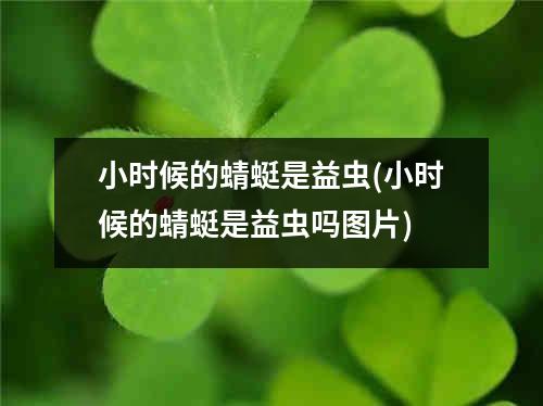 小时候的蜻蜓是益虫(小时候的蜻蜓是益虫吗图片)