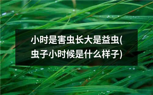 小时是害虫长大是益虫(虫子小时候是什么样子)