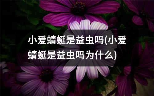 小爱蜻蜓是益虫吗(小爱蜻蜓是益虫吗为什么)