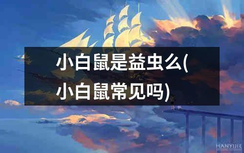 小白鼠是益虫么(小白鼠常见吗)