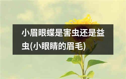 小眉眼蝶是害虫还是益虫(小眼睛的眉毛)