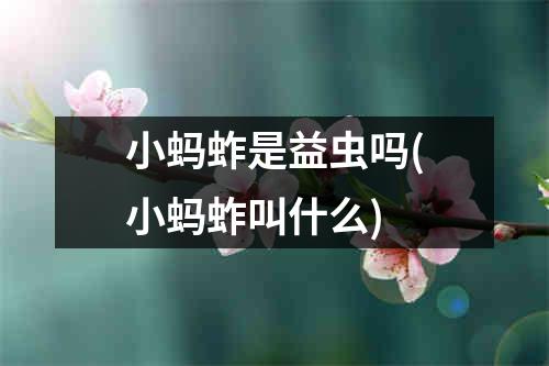 小蚂蚱是益虫吗(小蚂蚱叫什么)