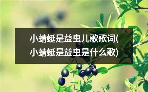 小蜻蜓是益虫儿歌歌词(小蜻蜓是益虫是什么歌)