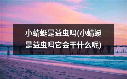 小蜻蜓是益虫吗(小蜻蜓是益虫吗它会干什么呢)