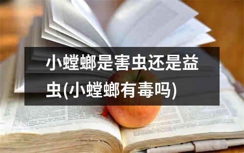 小螳螂是害虫还是益虫(小螳螂有毒吗)