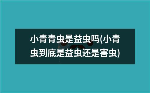 小青青虫是益虫吗(小青虫到底是益虫还是害虫)