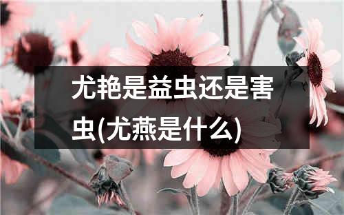 尤艳是益虫还是害虫(尤燕是什么)