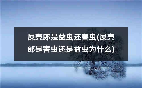 屎壳郎是益虫还害虫(屎壳郎是害虫还是益虫为什么)