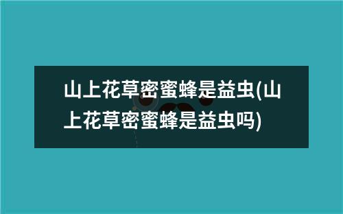 山上花草密蜜蜂是益虫(山上花草密蜜蜂是益虫吗)