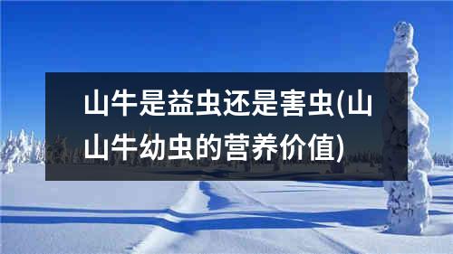 山牛是益虫还是害虫(山山牛幼虫的营养价值)