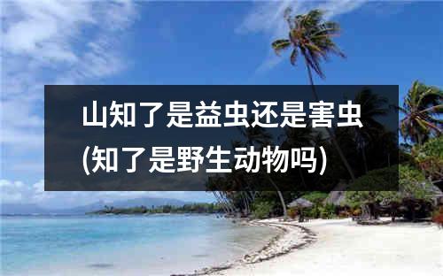 山知了是益虫还是害虫(知了是野生动物吗)