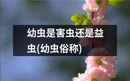 幼虫是害虫还是益虫(幼虫俗称)