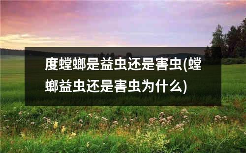 度螳螂是益虫还是害虫(螳螂益虫还是害虫为什么)