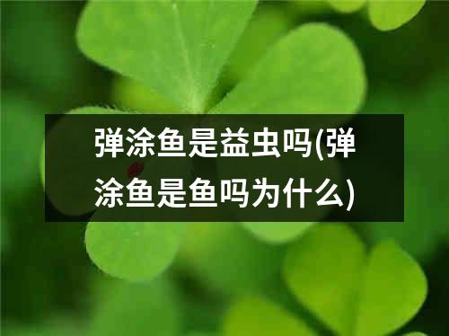 弹涂鱼是益虫吗(弹涂鱼是鱼吗为什么)