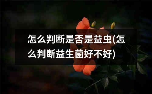 怎么判断是否是益虫(怎么判断益生菌好不好)