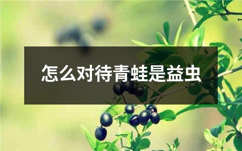 怎么对待青蛙是益虫