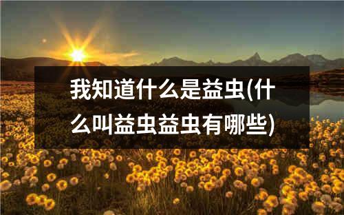 我知道什么是益虫(什么叫益虫益虫有哪些)