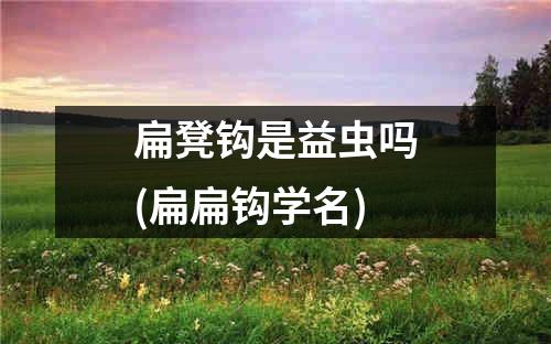 扁凳钩是益虫吗(扁扁钩学名)