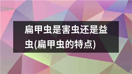 扁甲虫是害虫还是益虫(扁甲虫的特点)