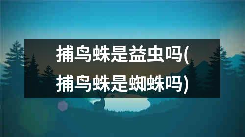 捕鸟蛛是益虫吗(捕鸟蛛是蜘蛛吗)