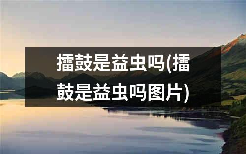 擂鼓是益虫吗(擂鼓是益虫吗图片)