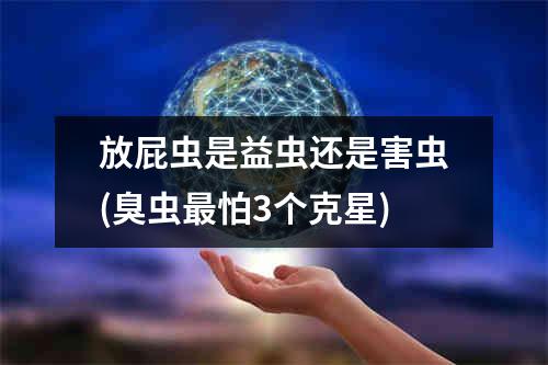 放屁虫是益虫还是害虫(臭虫最怕3个克星)