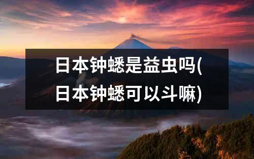 日本钟蟋是益虫吗(日本钟蟋可以斗嘛)