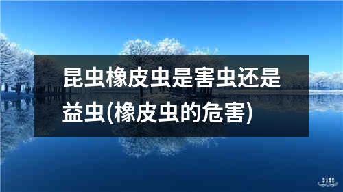 昆虫橡皮虫是害虫还是益虫(橡皮虫的危害)