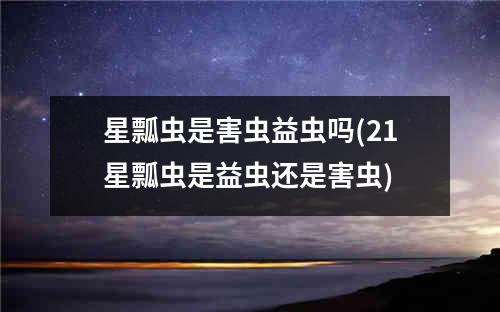 星瓢虫是害虫益虫吗(21星瓢虫是益虫还是害虫)