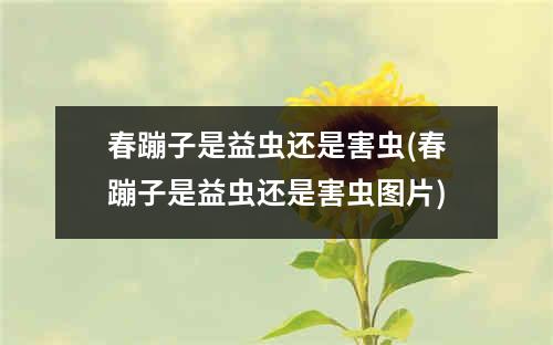 春蹦子是益虫还是害虫(春蹦子是益虫还是害虫图片)