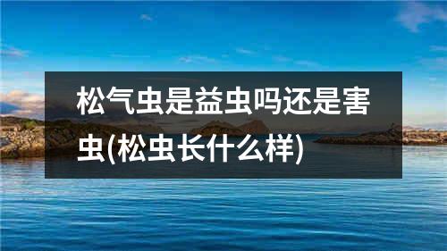 松气虫是益虫吗还是害虫(松虫长什么样)