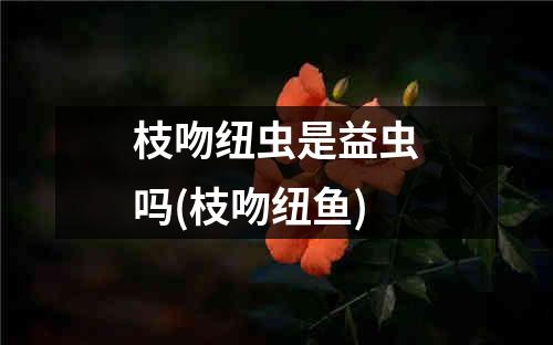 枝吻纽虫是益虫吗(枝吻纽鱼)