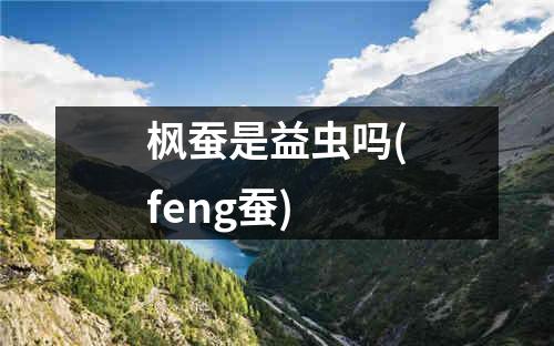 枫蚕是益虫吗(feng蚕)