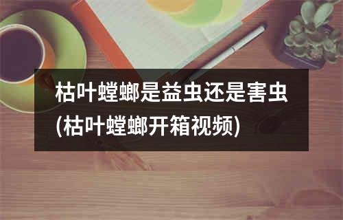 枯叶螳螂是益虫还是害虫(枯叶螳螂开箱视频)