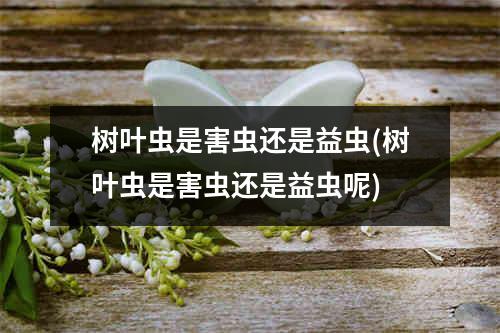 树叶虫是害虫还是益虫(树叶虫是害虫还是益虫呢)