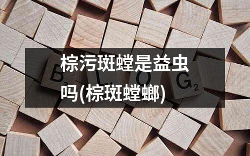 棕污斑螳是益虫吗(棕斑螳螂)